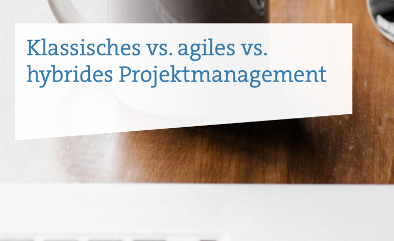 Wie man den passenden Projektmanagement-Ansatz auswählt